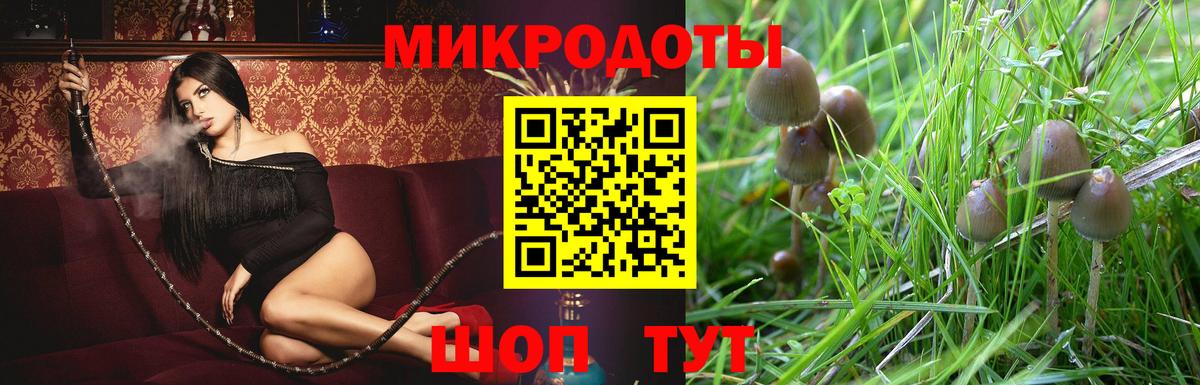 Галлюциногенные грибы Psilocybine cubensis Тейково